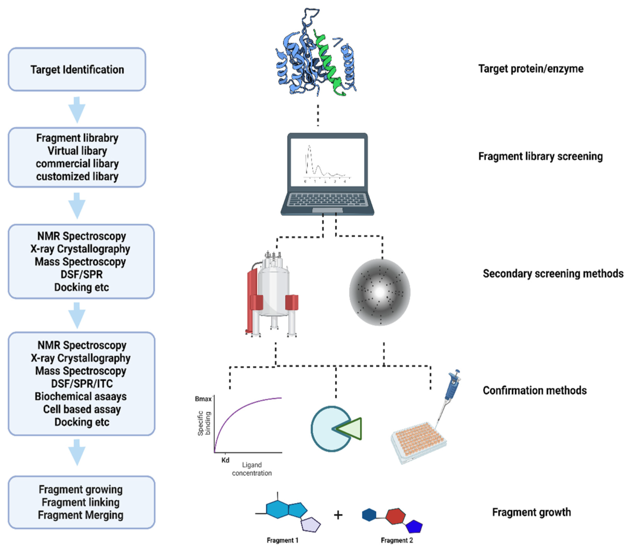 1930184063130914816-fragment-based-drug-discovery-service2.png