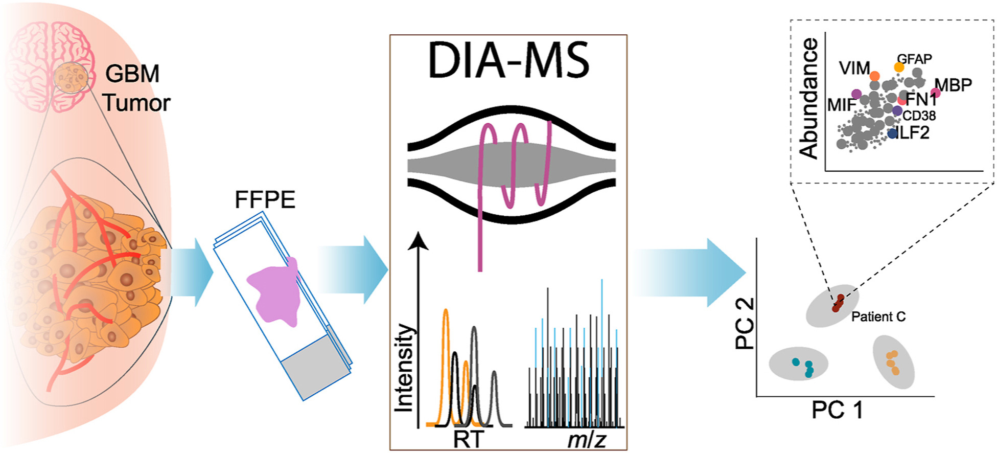 1930544582568300544-ffpe-quantitative-proteomics-analysis-service1.jpg