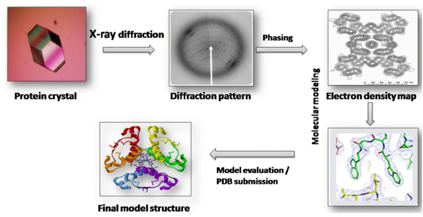 1930884389867696128-biophysical-characterisation-service1.png