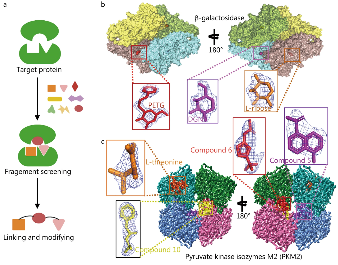 1930885868460519424-biophysical-characterisation-service3.png