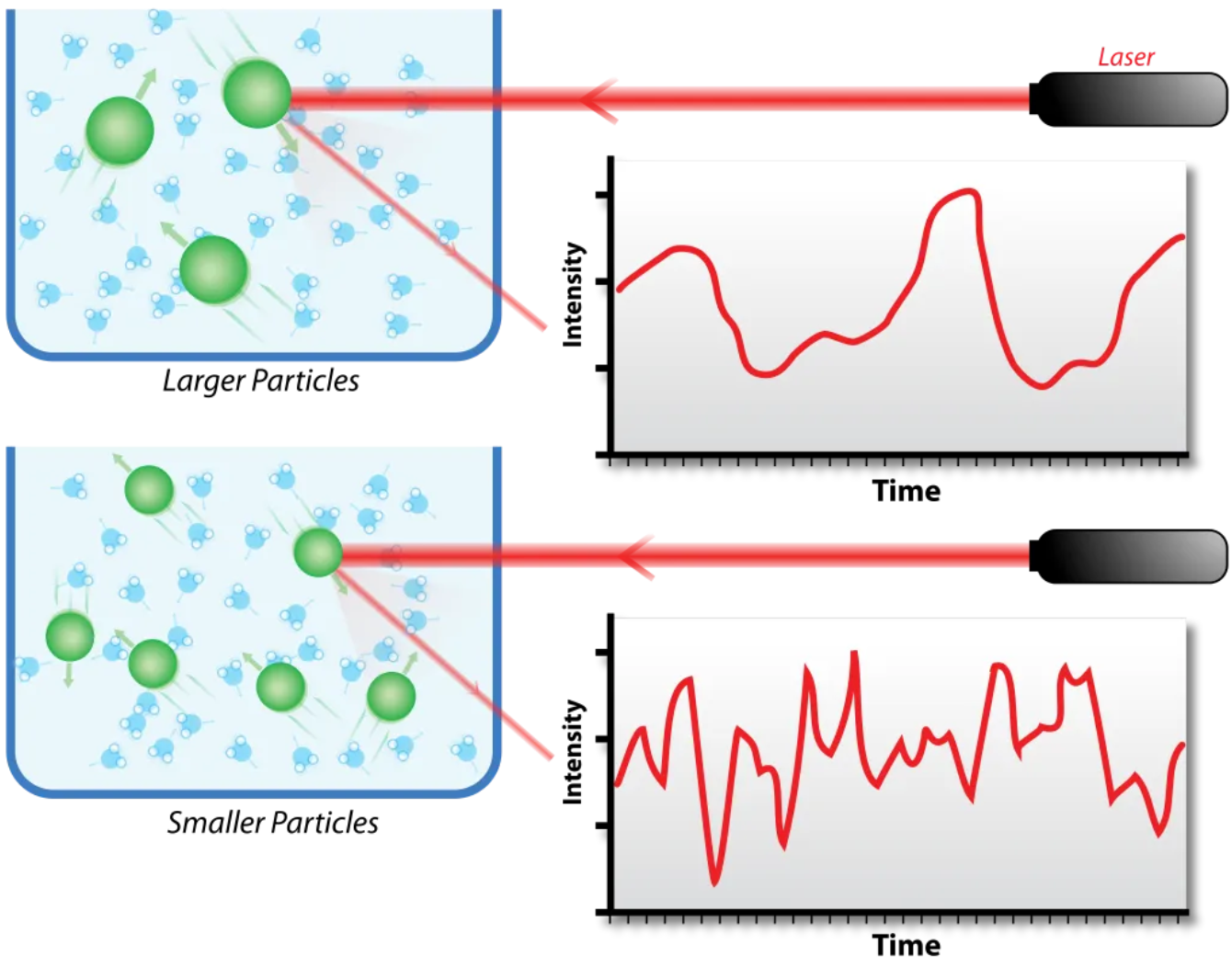 1930886205288296448-biophysical-characterisation-service4.png