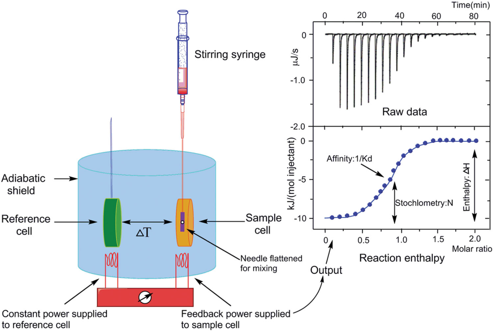 1930887488866955264-biophysical-characterisation-service6.png