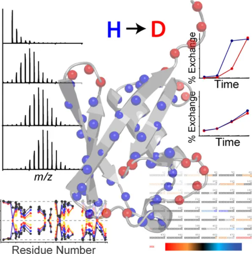 1930902518982819840-biophysical-characterisation-service7.png