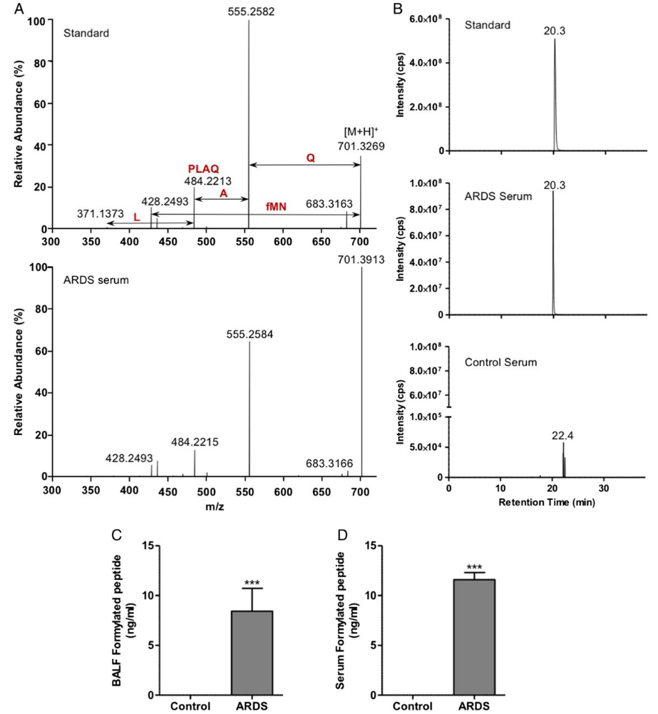 1924331892774653952-formylation-proteomics-service1.png