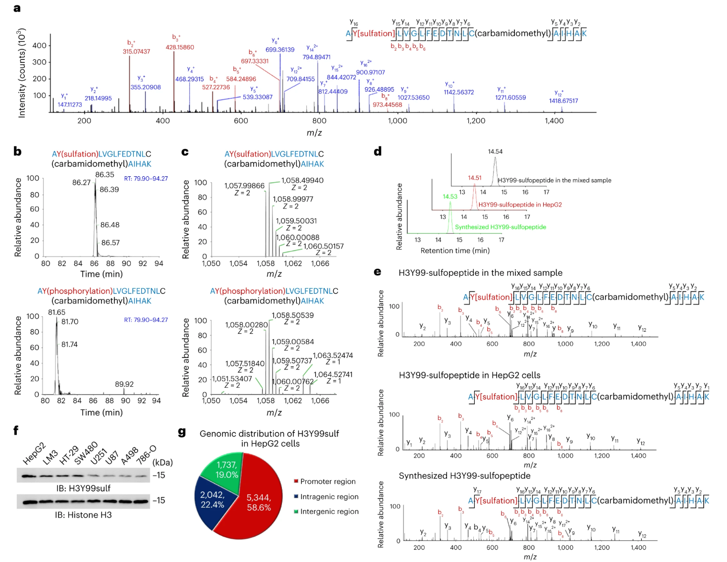 1924375358707716096-sulfation-proteomics-service2.png
