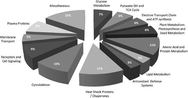 1924399148267327488-carbonylation-proteomics-service1.jpg