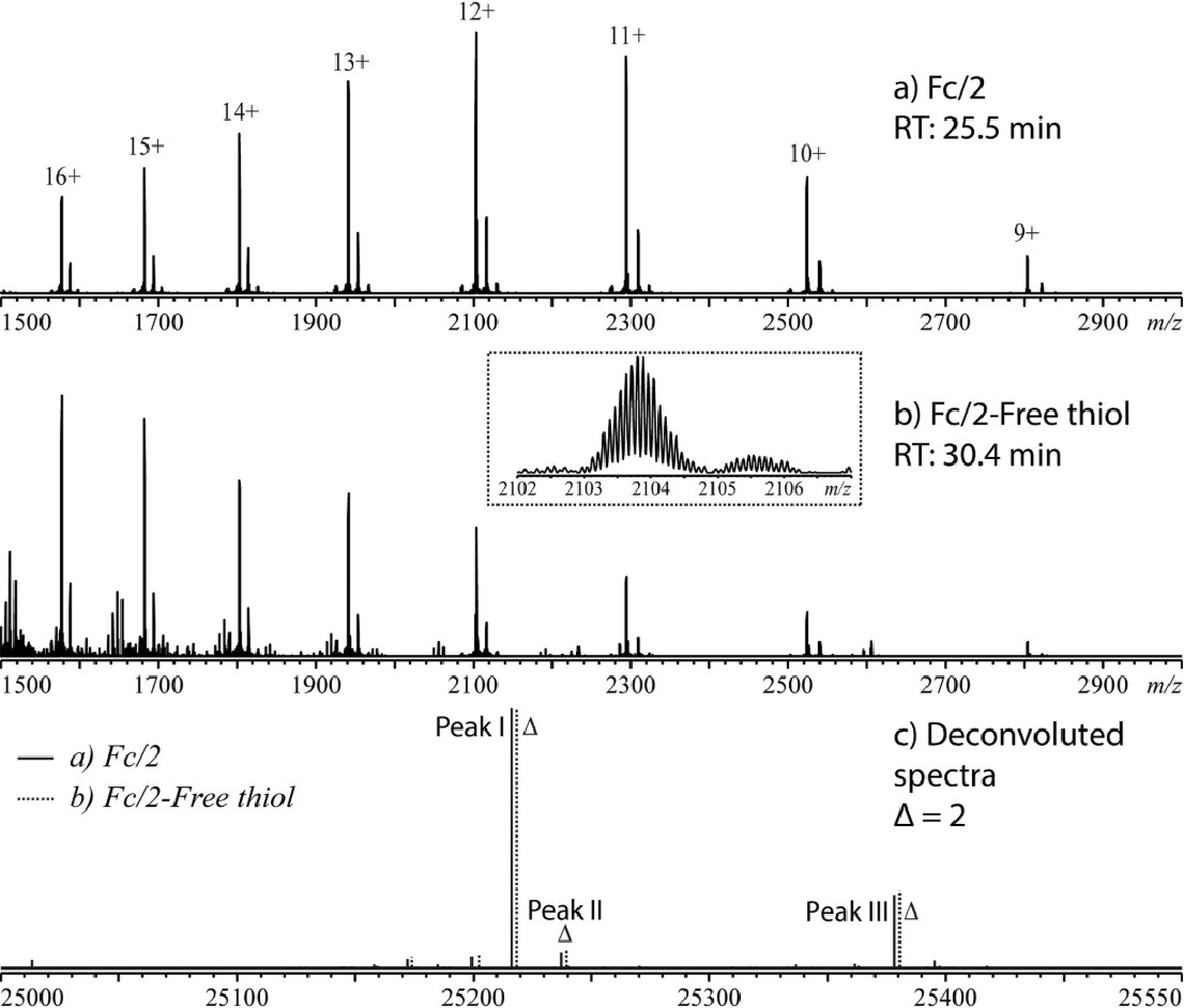 1932007087509458944-free-thiol-groups-quantification-service3.png