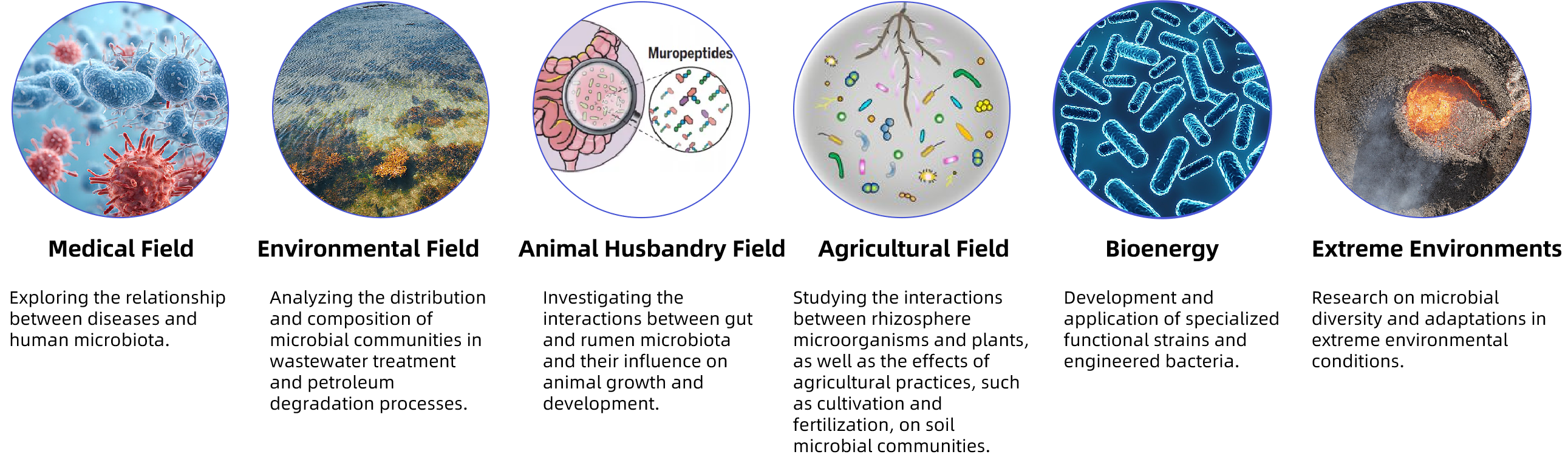 1933047005404844032-metagenomic-sequencing-service2.png
