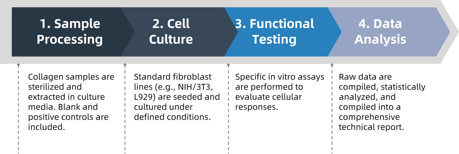 1933055915629072384-recombinant-collagen-biological-function-evaluation-service2.png