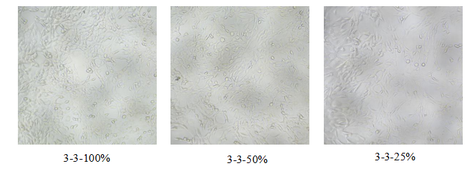 1933056864506466304-cell-proliferation-assay-service-recombinant-collagen-evaluation2.png