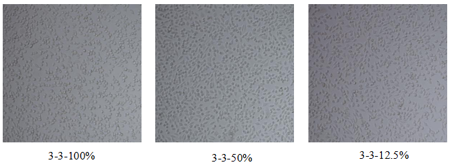 1933058142028550144-cytotoxicity-assay-service-recombinant-collagen-evaluation2.png