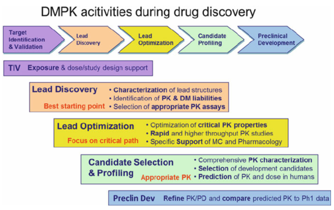1933417244705542144-in-vivo-dmpk-service1.png