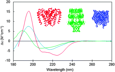 1934529450889302016-cd-based-peptide-secondary-structure-analysis-service1.gif