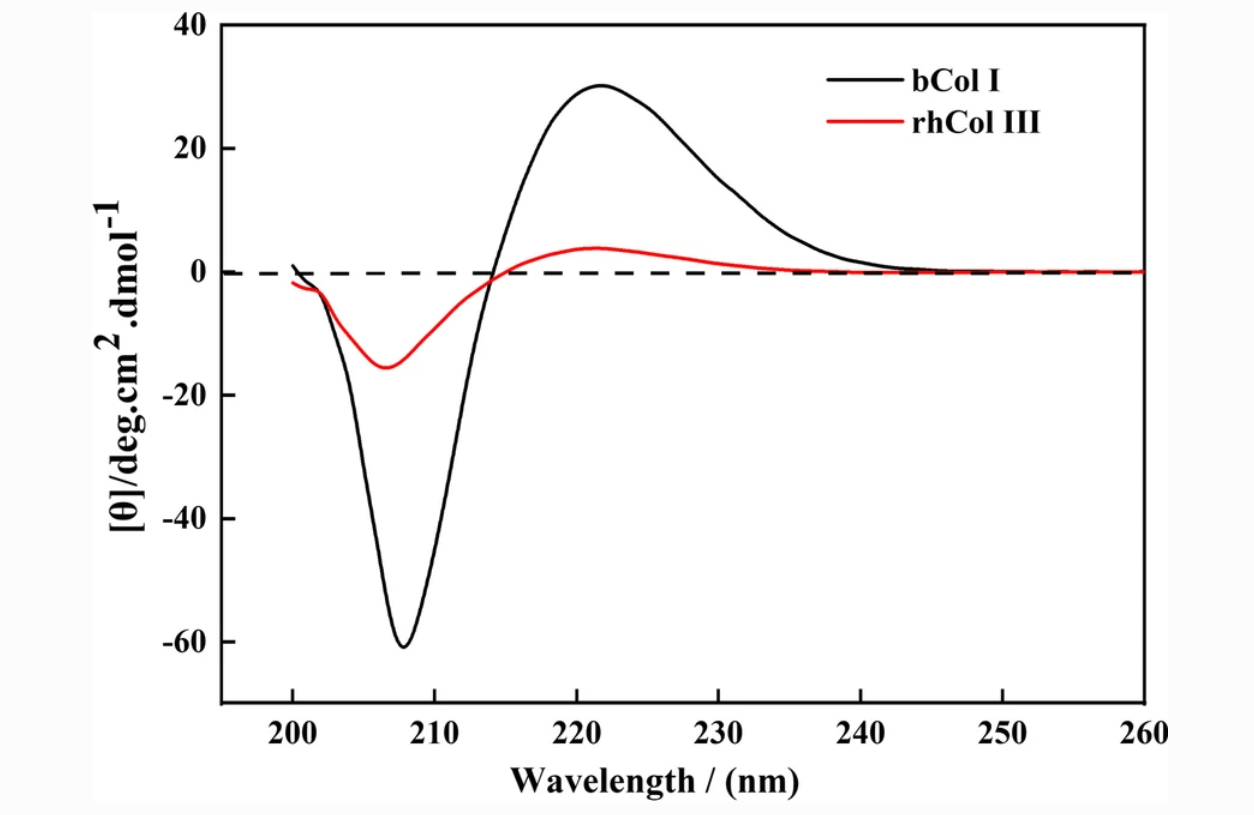 1934530579186438144-circular-dichroism-analysis-service-recombinant-collagen1.png
