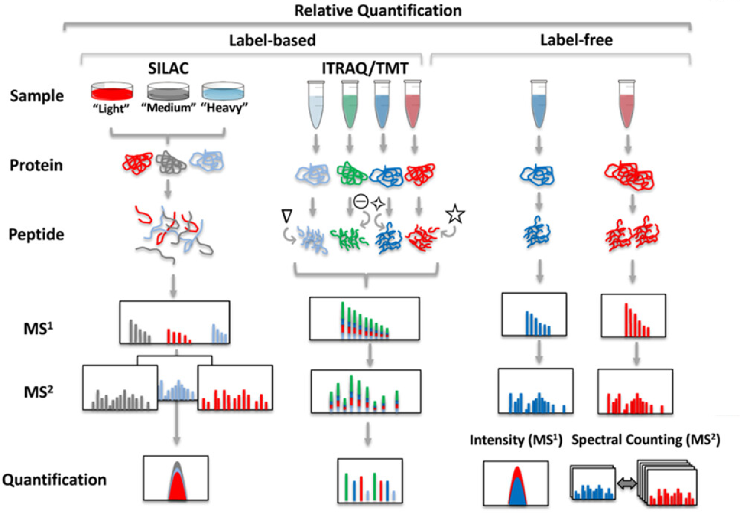1935237800820068352-comparing-lfq-and-isobaric-labeling-strategies-in-proteomics-quantification1.png