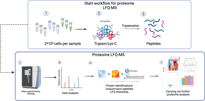 1935237995452551168-comparing-lfq-and-isobaric-labeling-strategies-in-proteomics-quantification2.jpg