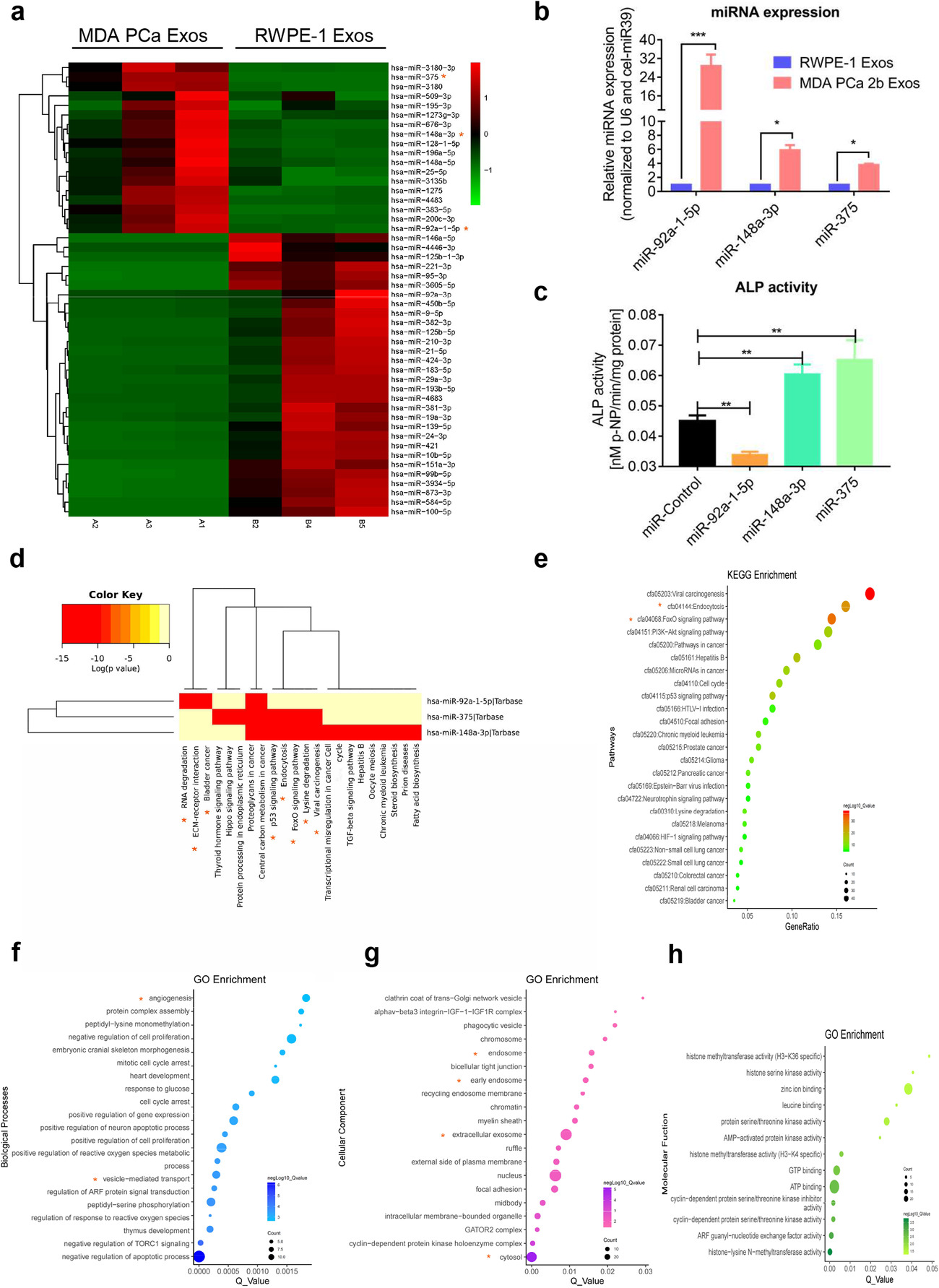 1937020091795886080-microrna-sequencing-service3.jpg