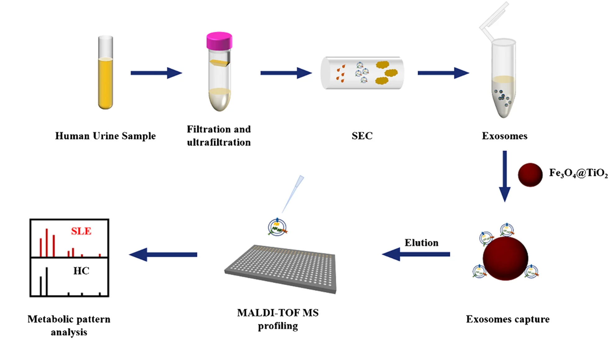 1937786988539793408-exosomes-metabolomics-services1.png