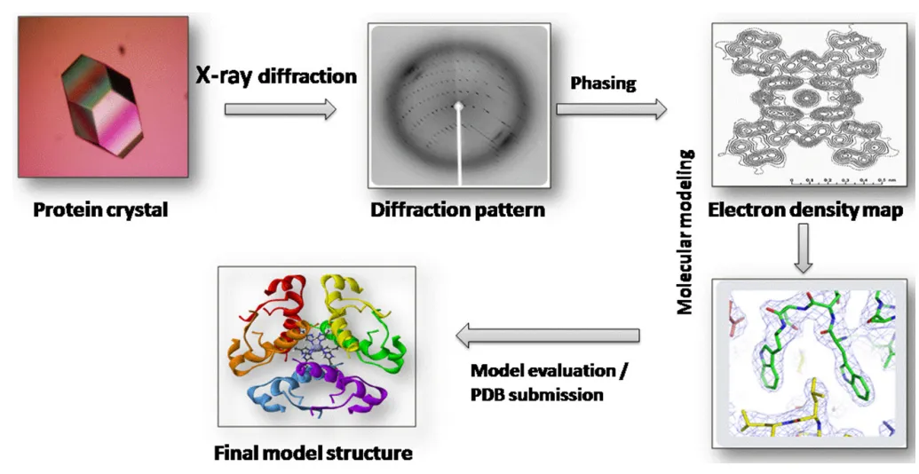 1938125231386906624-x-ray-crystallography-xrc-analysis-service-drug-discovery1.webp