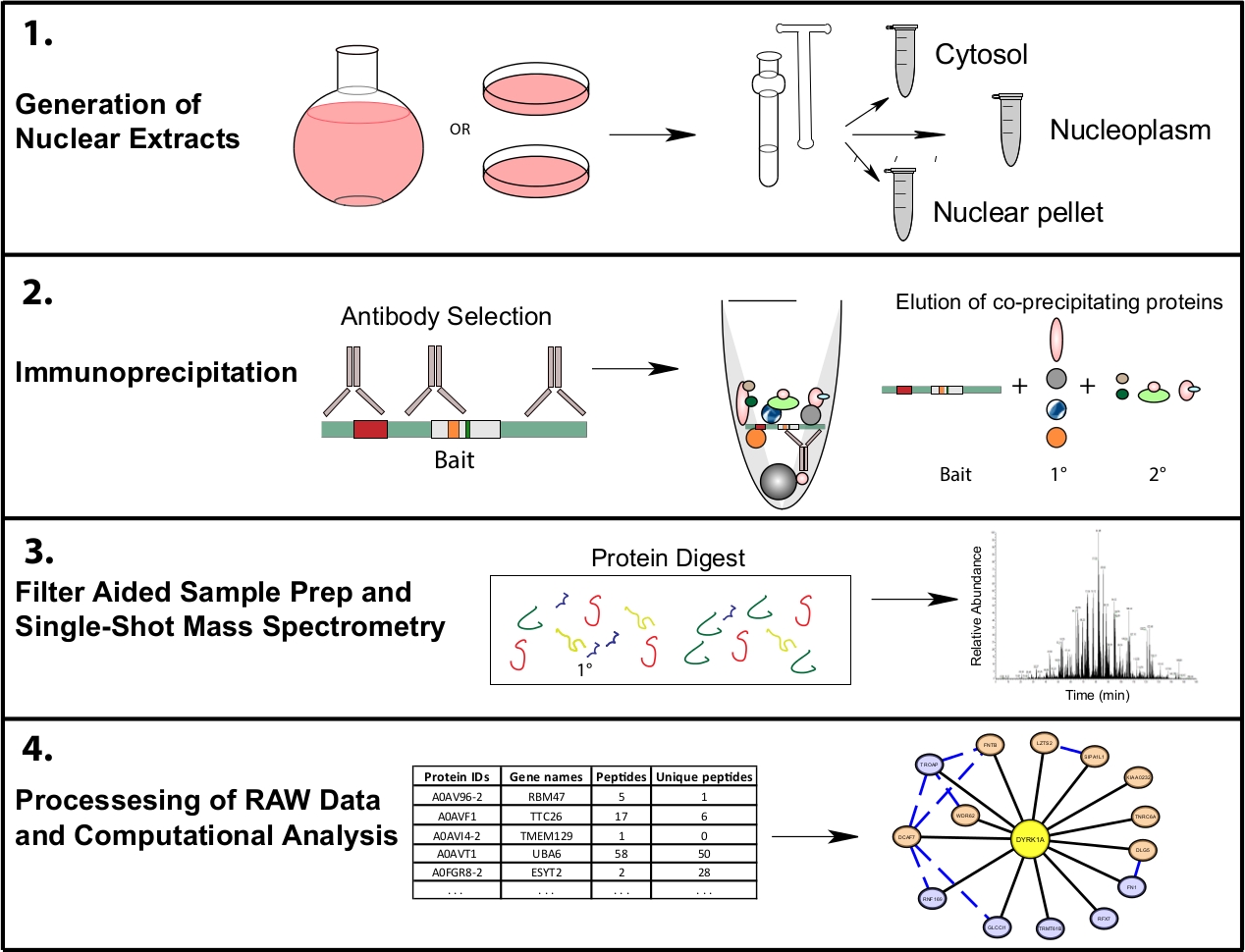 1938172831507009536-ip-ms-protein-interactomics-analysis-service2.jpg