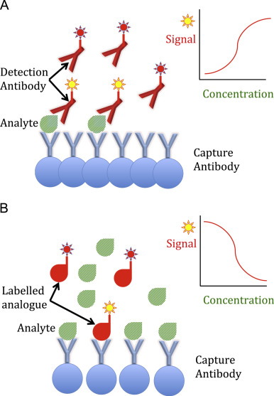 1938518008658513920-membrane-protein-based-immunoassay-development-service1.png