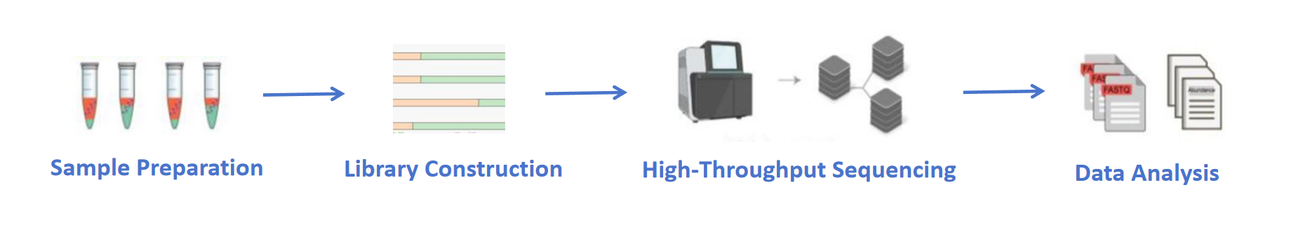 1940604659966791680-reference-based-transcriptome-sequencing-service2.png