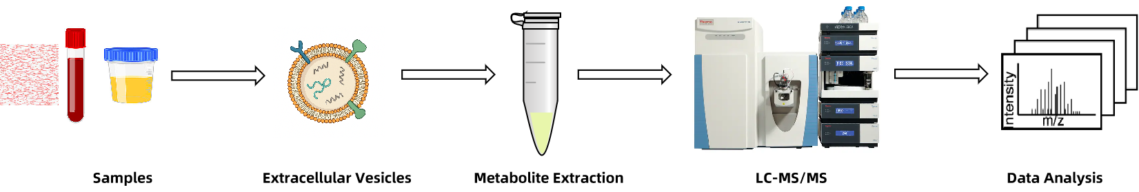 1940678238343385088-extracellular-vesicles-metabolomics-services1.png
