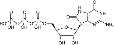 1941013614316605440-wordmediaimage1.png