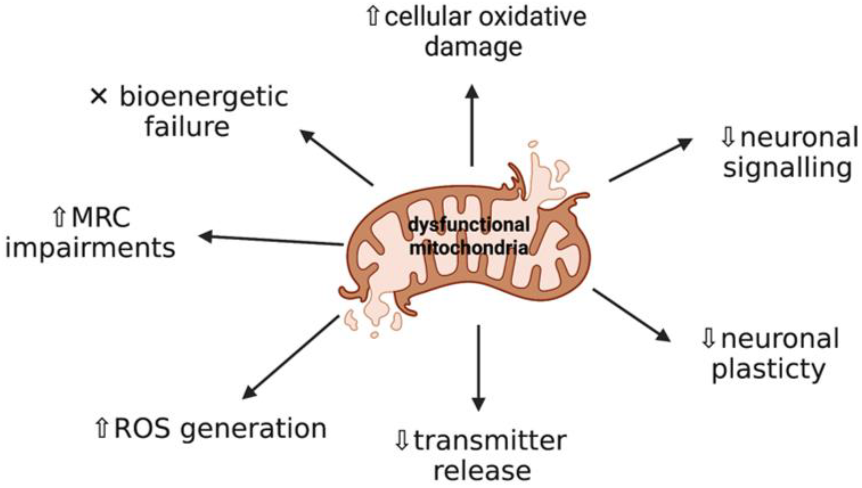 1942511068081934336-mitochondrial-damage-detection-service1.png