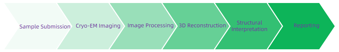 1942834696061308928-cryo-electron-microscopy-analysis-service-drug-discovery2.PNG