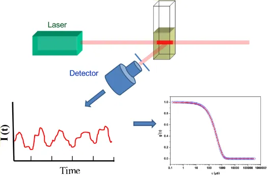 1942848129834012672-dynamic-light-scattering-dls-analysis-service-drug-discovery1.png