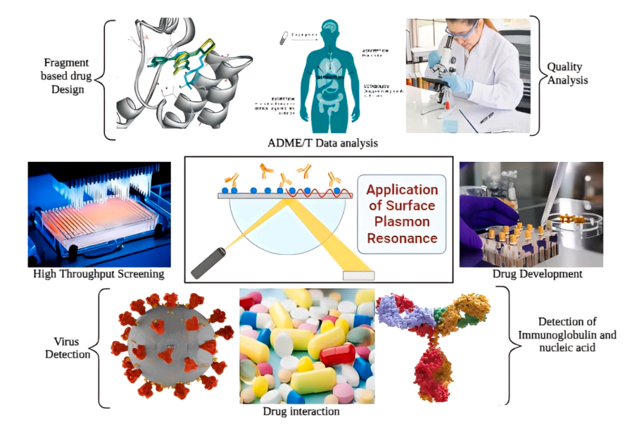 1943182539615752192-surface-plasmon-resonance-spr-analysis-service-drug-discovery3.PNG