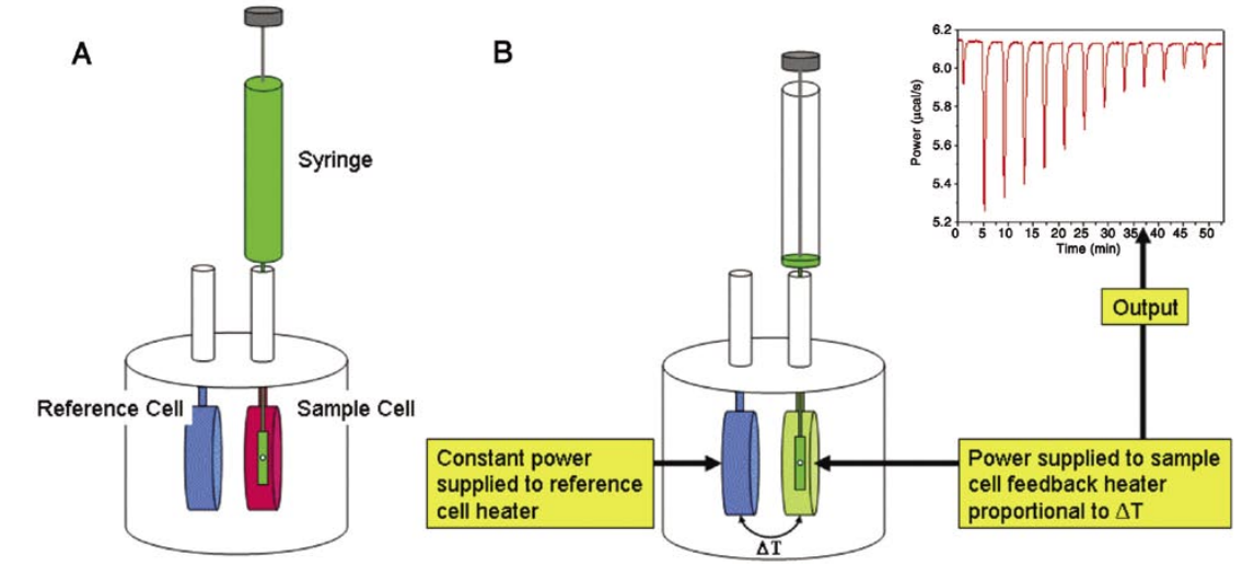 1943214216702447616-isothermal-titration-calorimetry-itc-analysis-service-drug-discovery1.PNG