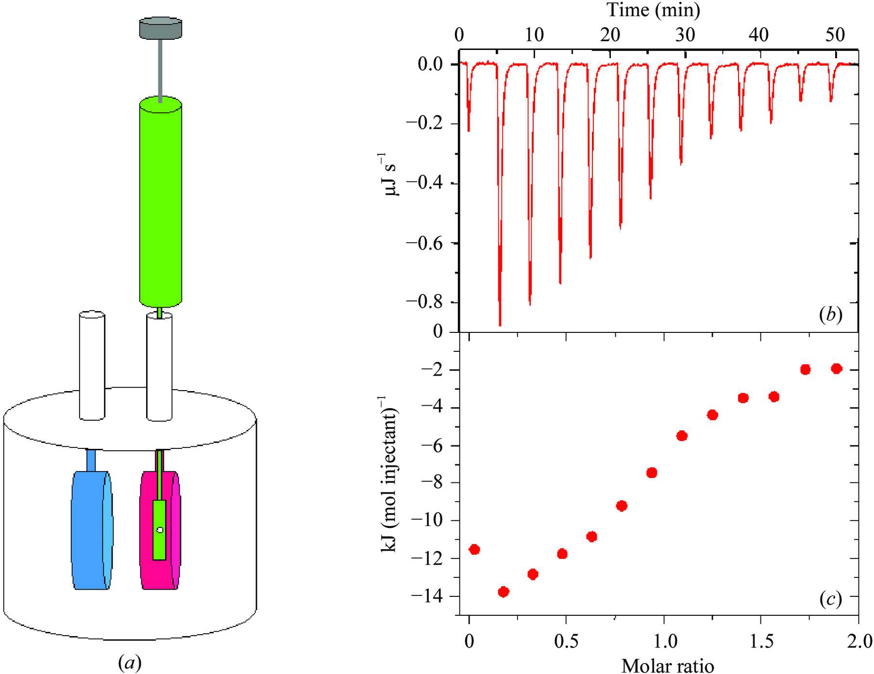 1945056104397000704-peptide-antibody-interaction-analysis-service1.jpg