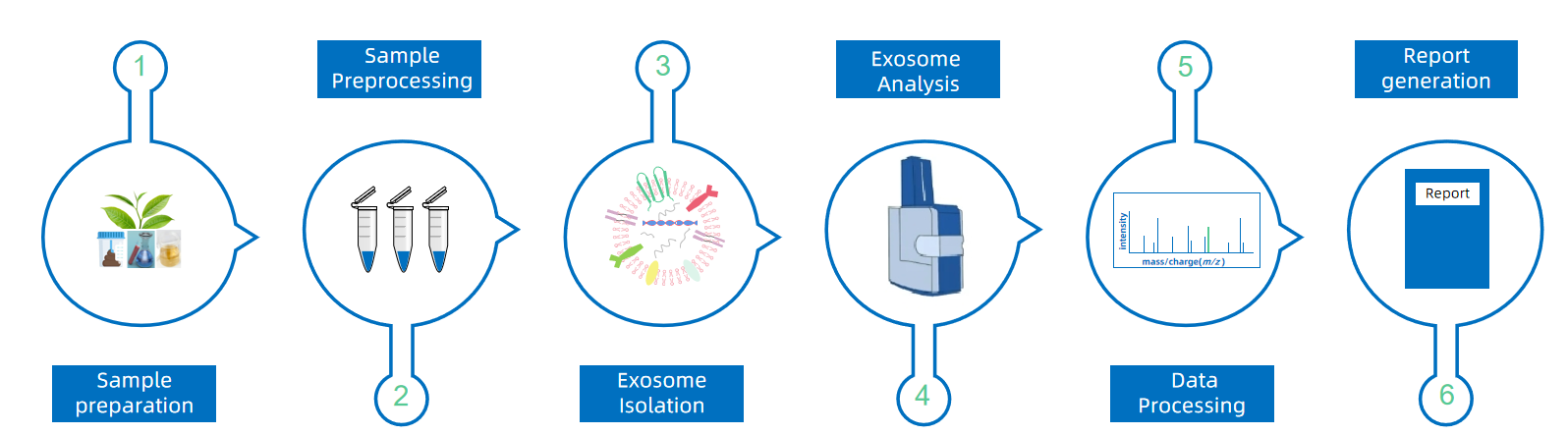 1945406296415059968-exosome-analysis-services2.png