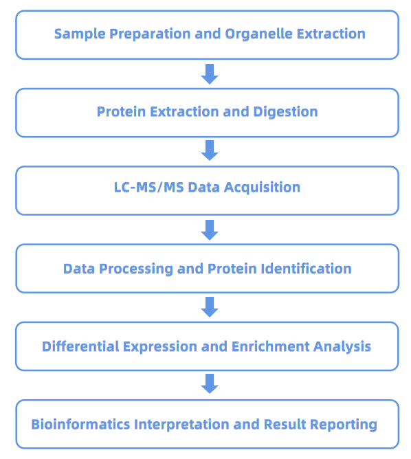 1945409418139058176-subcellular-analysis-services1.png