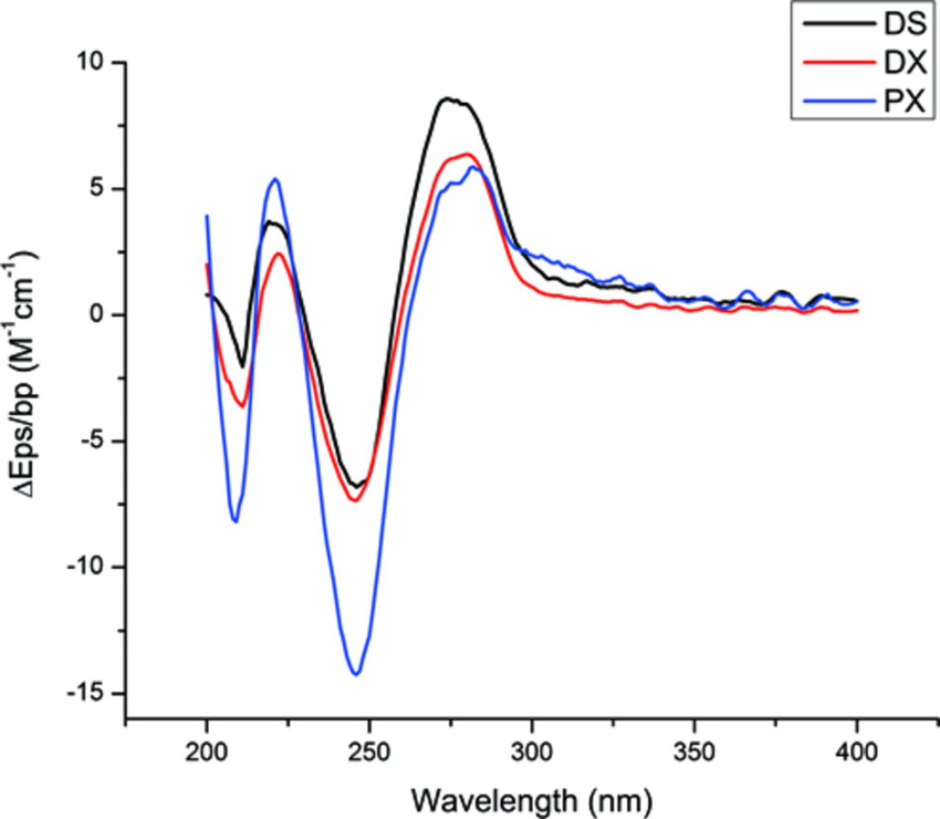 1945414533380689920-peptide-dna-interaction-analysis-service2.png