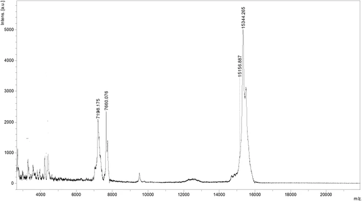 1945419241616953344-peptide-molecular-mass-determination-service1.gif