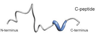 1945778150835867648-peptide-c-terminal-sequencing-service1.jpg