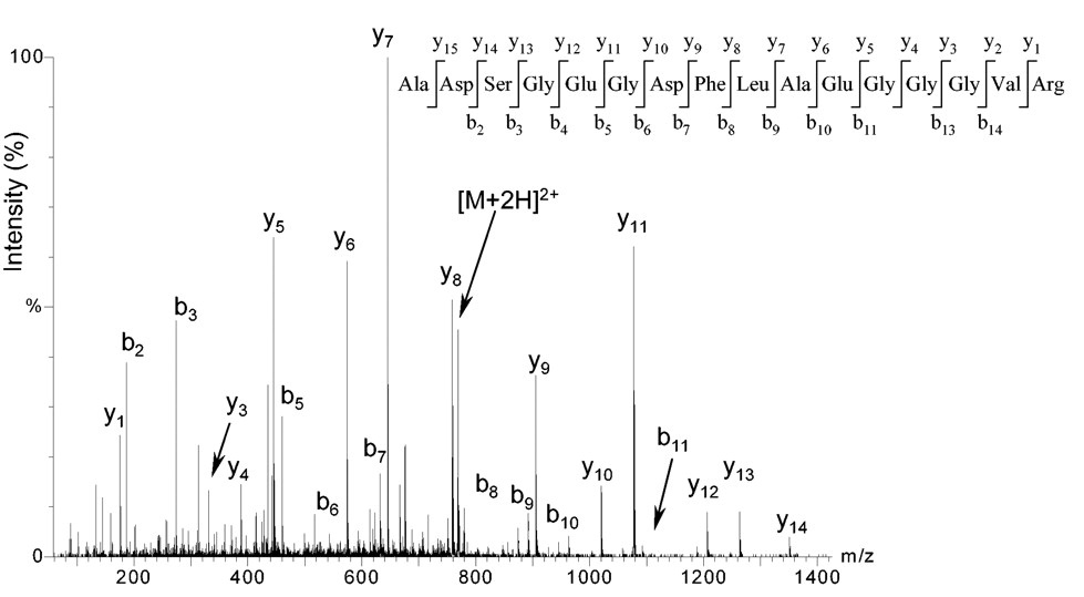 1945778416637300736-peptide-c-terminal-sequencing-service2.jpeg