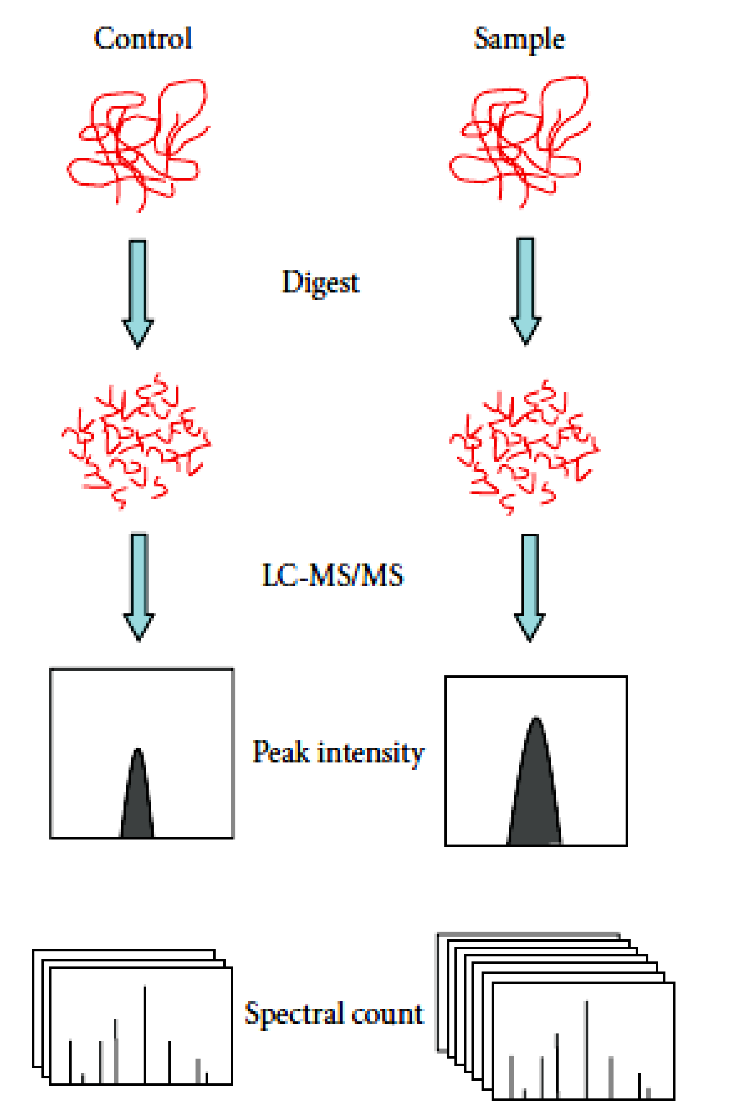 1947225286131699712-label-free-peptide-quantification-service1.png