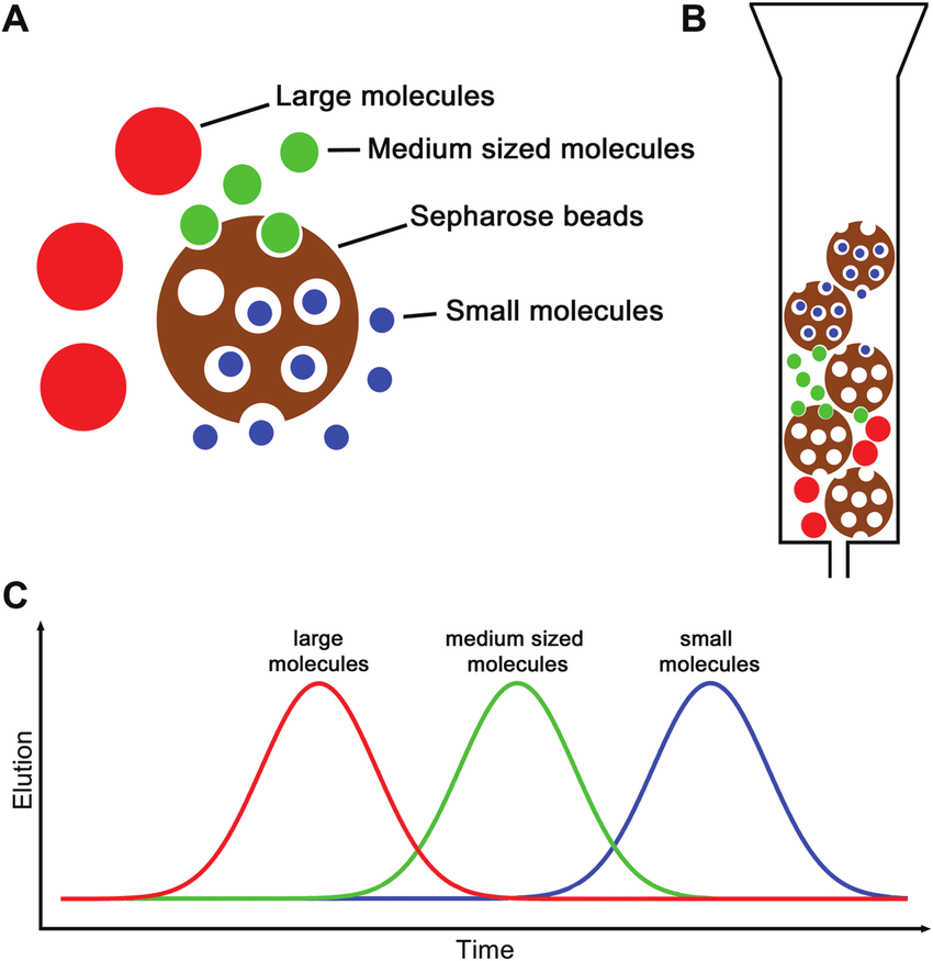 sec-peptide-purity-analysis-service1.png