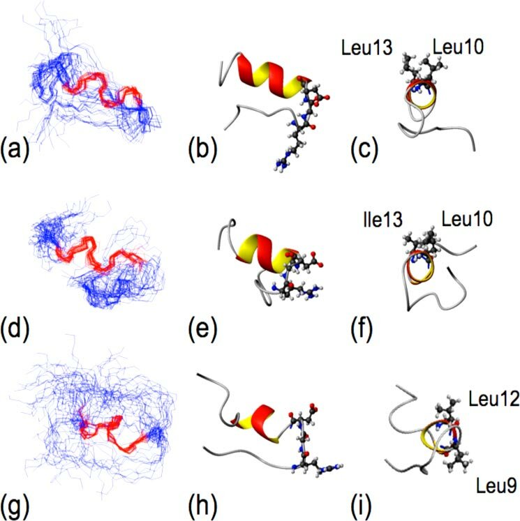 1947591865931517952-nmr-based-peptide-structure-analysis-service1.png