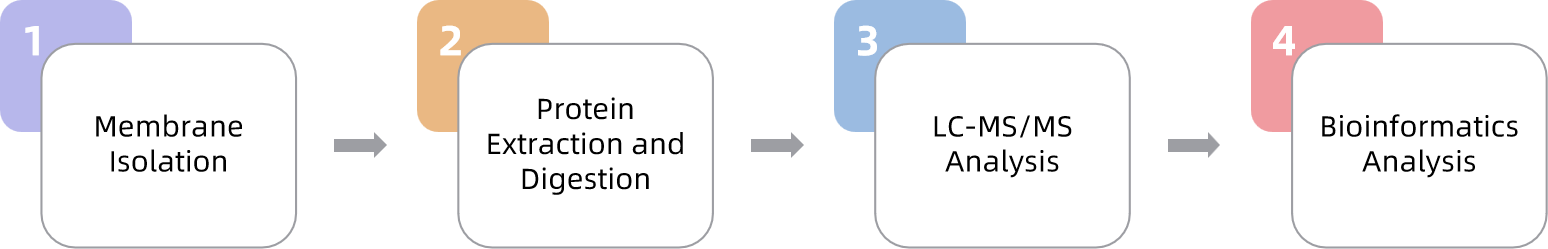 1947921408023642112-mceu_41792879511753255646583.png