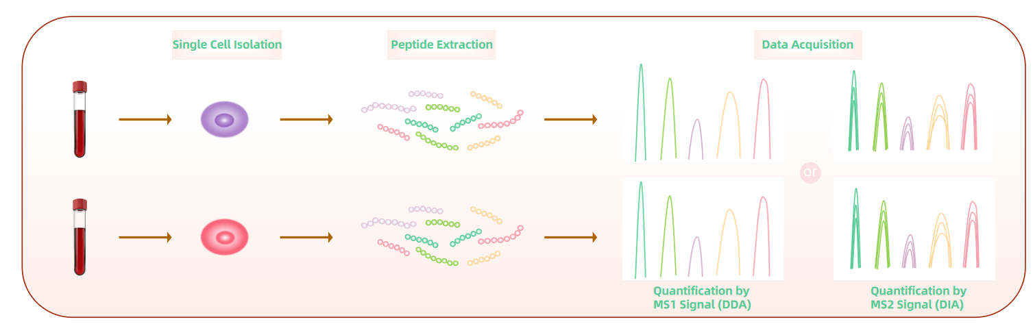 1948272735294181376-single-cell-peptidomics-analysis-service1.PNG