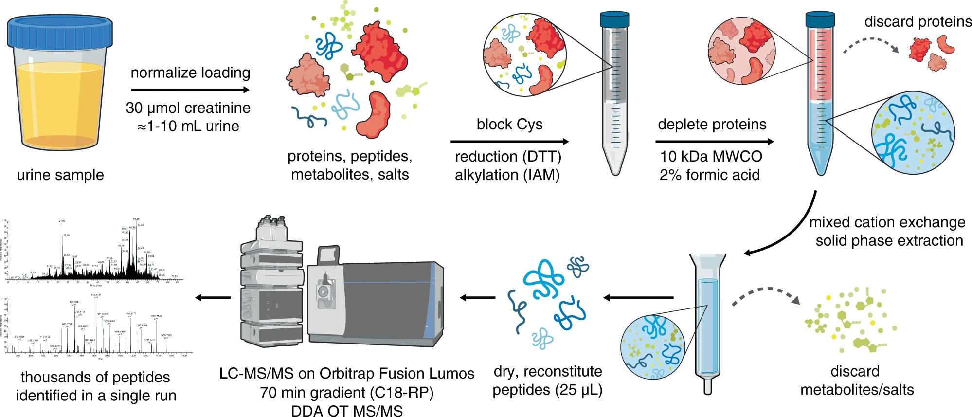 1948317333949370368-peptide-sample-preparation-service1.webp