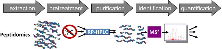 1948678460622815232-qualitative-peptidomics-service1.png