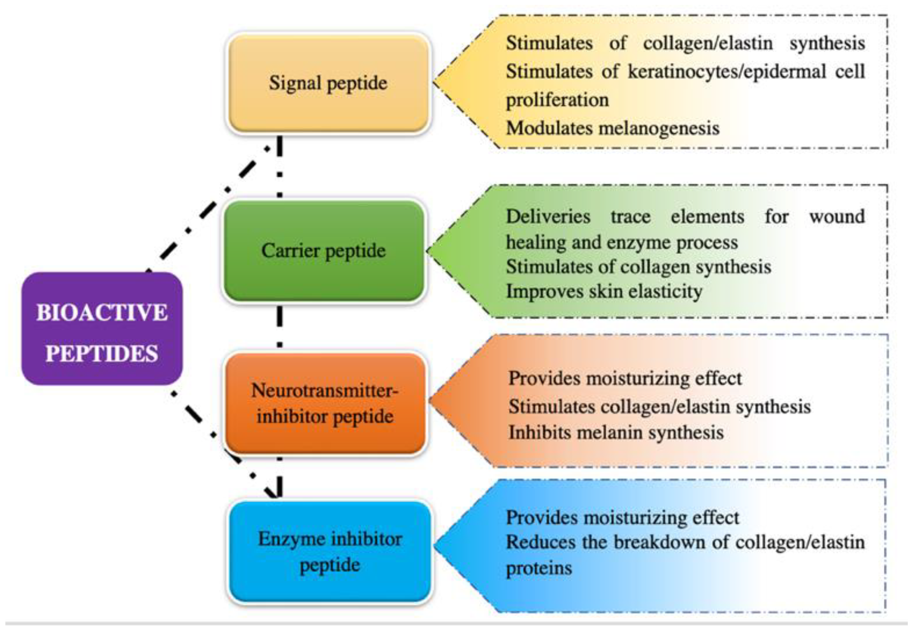 1948654696894418944-cosmetics-peptide-active-ingredient-discovery-service1.png