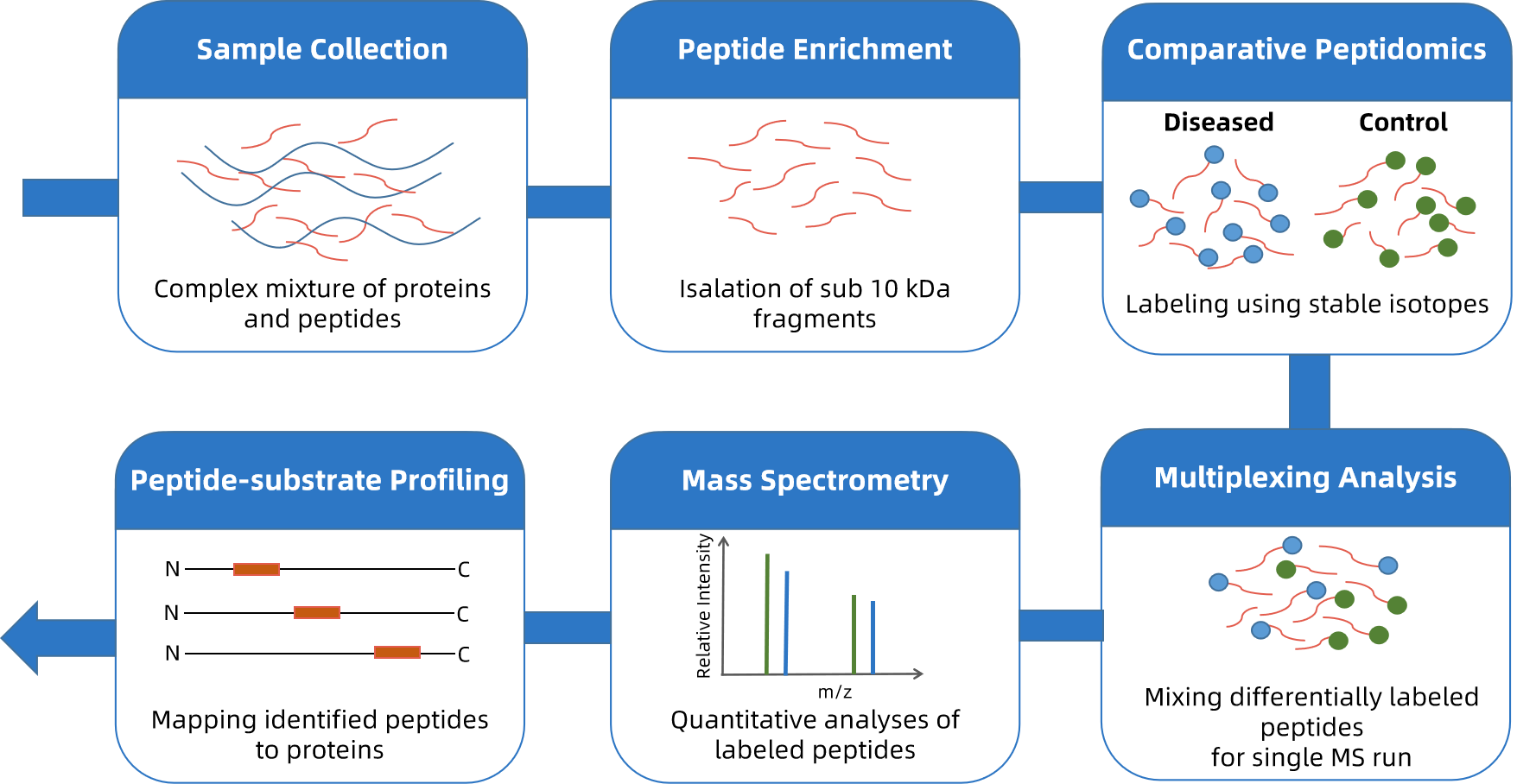 1948657258989211648-peptidomics-based-proteolytic-pathways-research-service2.png