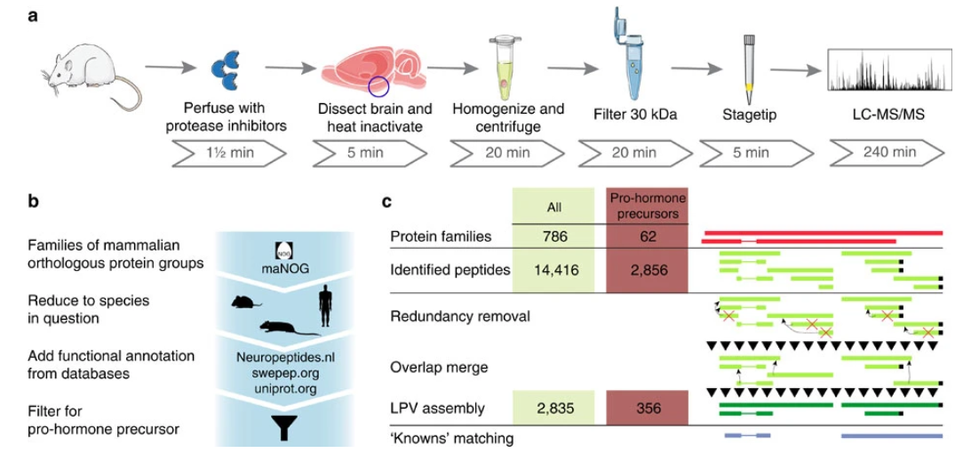 1949727000973922304-integrated-neuropeptidomics-analysis-service1.PNG